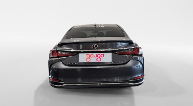 LEXUS ES HIBRIDO 300h PREMIUM LEXUS ES HIBRIDO 300h PREMIUM