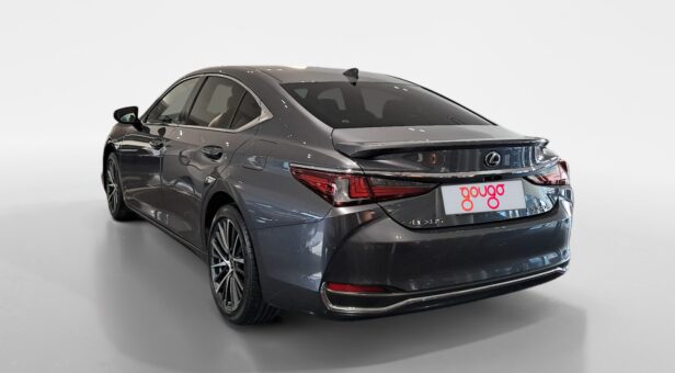 LEXUS ES HIBRIDO 300h PREMIUM LEXUS ES HIBRIDO 300h PREMIUM