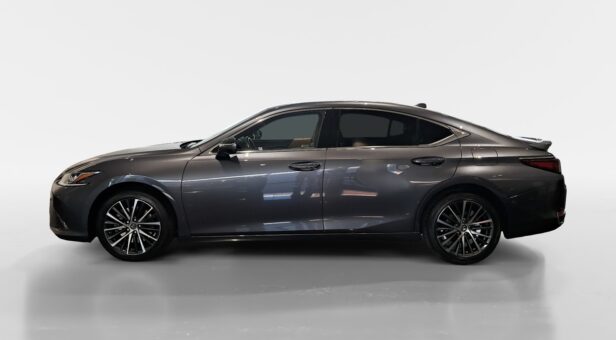 LEXUS ES HIBRIDO 300h PREMIUM LEXUS ES HIBRIDO 300h PREMIUM