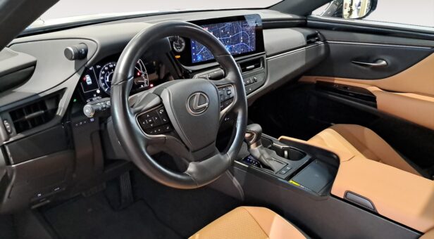 LEXUS ES HIBRIDO 300h PREMIUM LEXUS ES HIBRIDO 300h PREMIUM