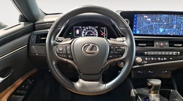 LEXUS ES HIBRIDO 300h PREMIUM LEXUS ES HIBRIDO 300h PREMIUM