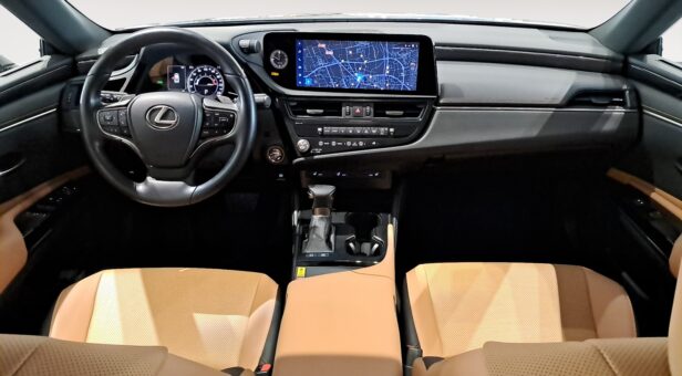 LEXUS ES HIBRIDO 300h PREMIUM LEXUS ES HIBRIDO 300h PREMIUM