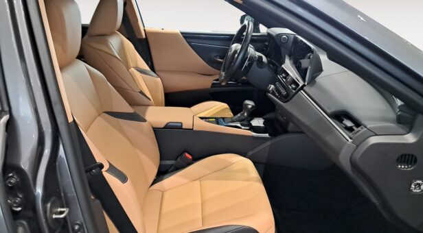 LEXUS ES HIBRIDO 300h PREMIUM LEXUS ES HIBRIDO 300h PREMIUM