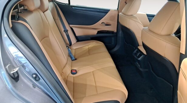 LEXUS ES HIBRIDO 300h PREMIUM LEXUS ES HIBRIDO 300h PREMIUM