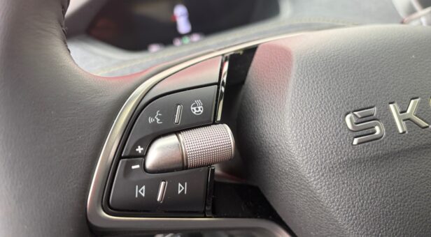 SKODA ELROQ TODOTERRENO BEV 63KWH 60 204 5p