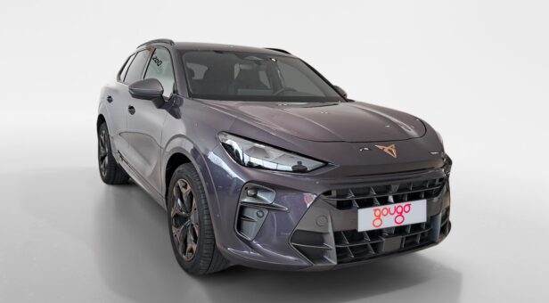 CUPRA TERRAMAR 1.5 eTSI 150 cv DSG