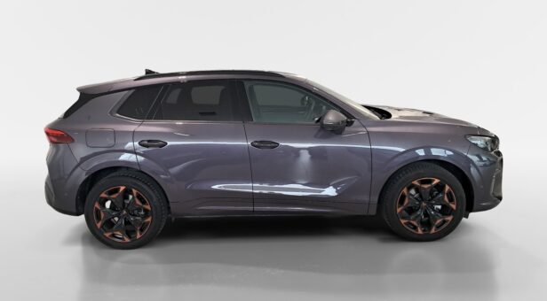 CUPRA TERRAMAR 1.5 eTSI 150 cv DSG
