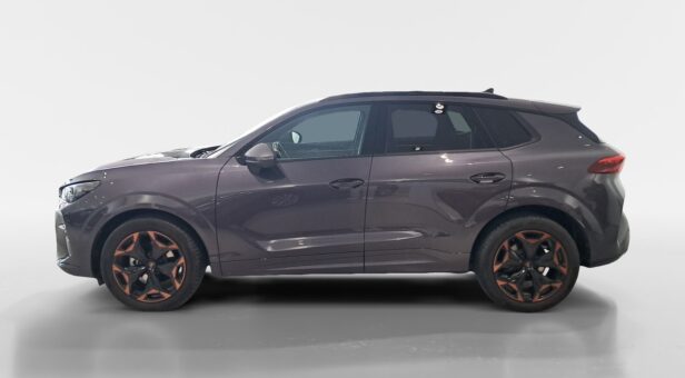 CUPRA TERRAMAR 1.5 eTSI 150 cv DSG