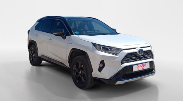 TOYOTA RAV4 TODOTERRENO 2.5 VVT-I 160KW FEEL AUTO 4WD 222 5p