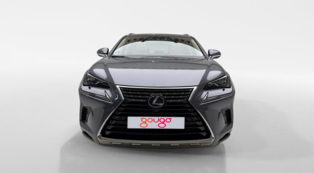 LEXUS NX 300h LUXURY 4WD AUTO 2.5cc 197cv 5P