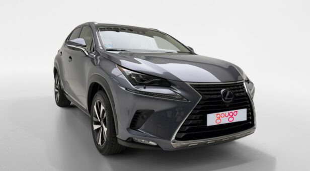 LEXUS NX 300h LUXURY 4WD AUTO 2.5cc 197cv 5P