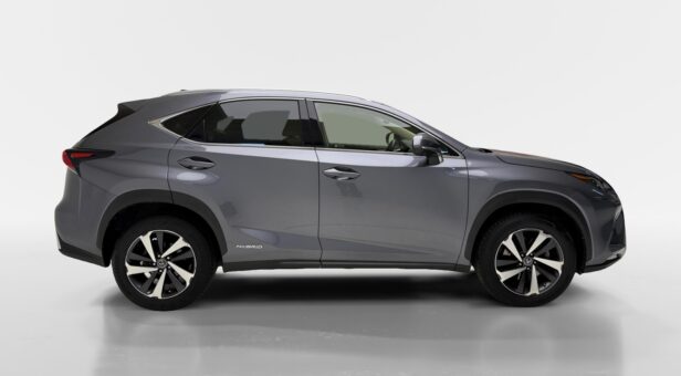 LEXUS NX 300h LUXURY 4WD AUTO 2.5cc 197cv 5P