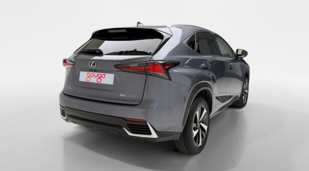 LEXUS NX 300h LUXURY 4WD AUTO 2.5cc 197cv 5P