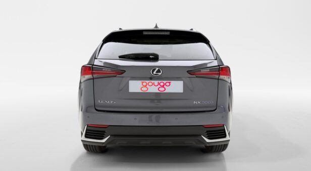 LEXUS NX 300h LUXURY 4WD AUTO 2.5cc 197cv 5P