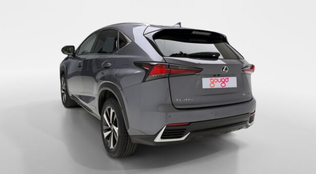 LEXUS NX 300h LUXURY 4WD AUTO 2.5cc 197cv 5P