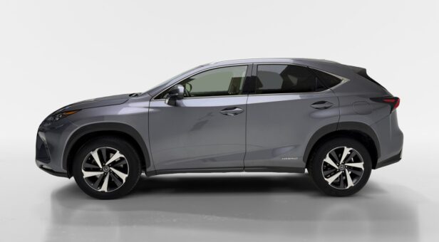 LEXUS NX 300h LUXURY 4WD AUTO 2.5cc 197cv 5P