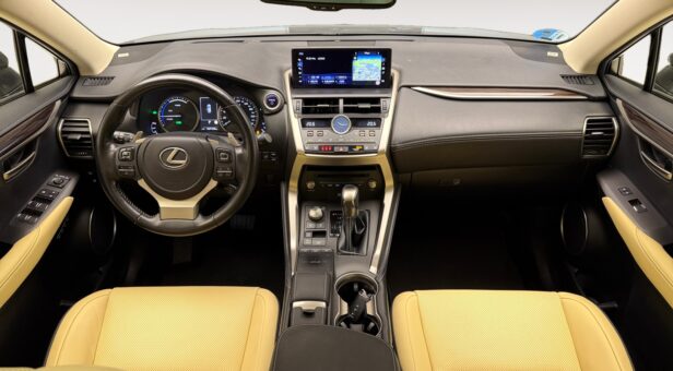 LEXUS NX 300h LUXURY 4WD AUTO 2.5cc 197cv 5P