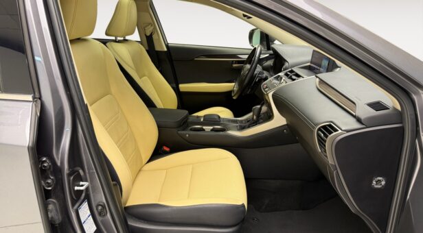 LEXUS NX 300h LUXURY 4WD AUTO 2.5cc 197cv 5P
