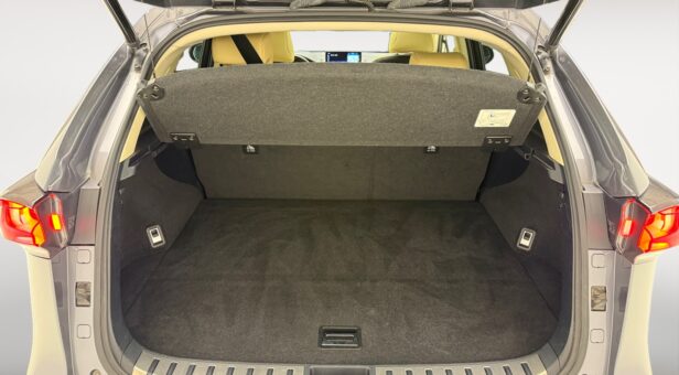LEXUS NX 300h LUXURY 4WD AUTO 2.5cc 197cv 5P