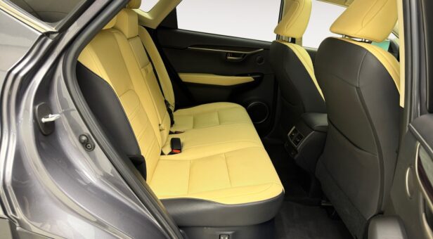 LEXUS NX 300h LUXURY 4WD AUTO 2.5cc 197cv 5P