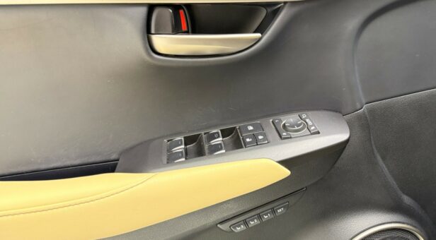 LEXUS NX 300h LUXURY 4WD AUTO 2.5cc 197cv 5P