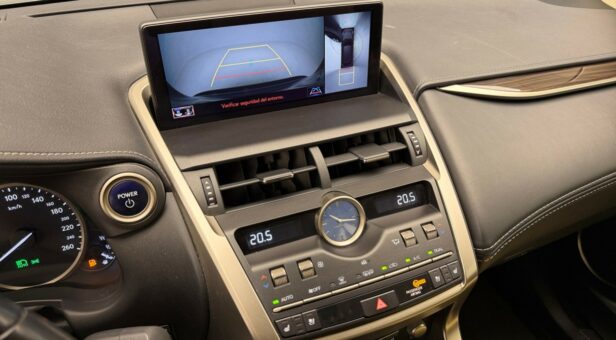 LEXUS NX 300h LUXURY 4WD AUTO 2.5cc 197cv 5P