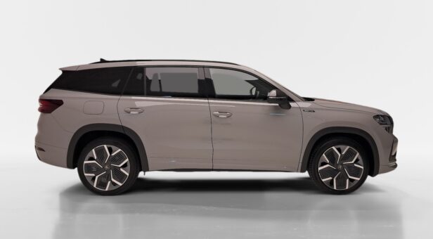 SKODA KODIAQ TODOTERRENO 2.0 TDI 110KW DSG SPORTLINE 150 5p SKODA KODIAQ TODOTERRENO 2.0 TDI 110KW DSG SPORTLINE 150 5p