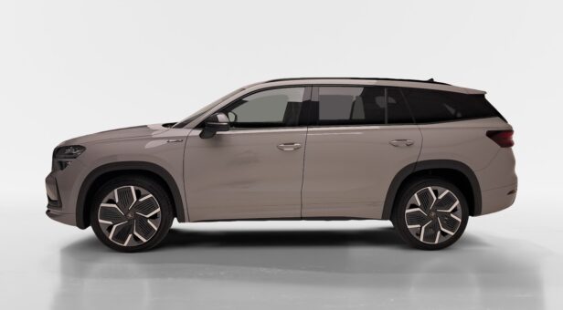 SKODA KODIAQ TODOTERRENO 2.0 TDI 110KW DSG SPORTLINE 150 5p SKODA KODIAQ TODOTERRENO 2.0 TDI 110KW DSG SPORTLINE 150 5p