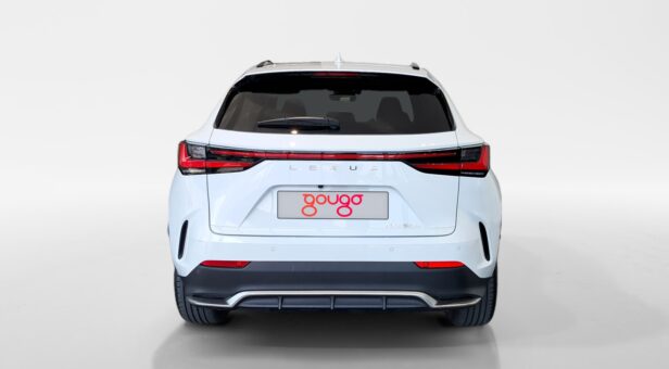 LEXUS NX 450h+ 4WD F Sport