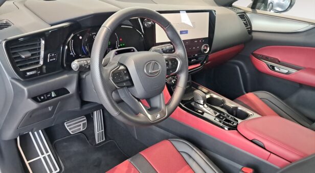 LEXUS NX 450h+ 4WD F Sport