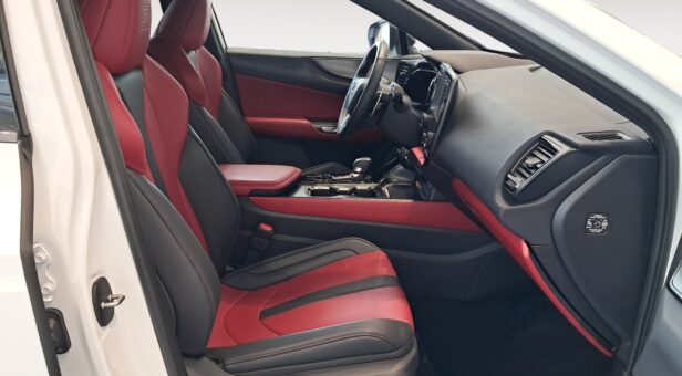 LEXUS NX 450h+ 4WD F Sport