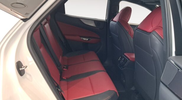 LEXUS NX 450h+ 4WD F Sport