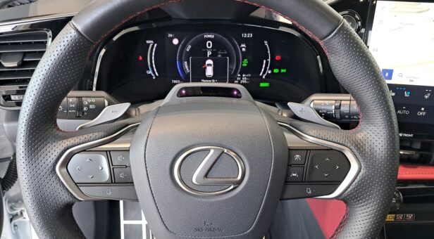 LEXUS NX 450h+ 4WD F Sport