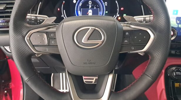 LEXUS NX NX 350h 4WD F SPORT LEXUS NX NX 350h 4WD F SPORT