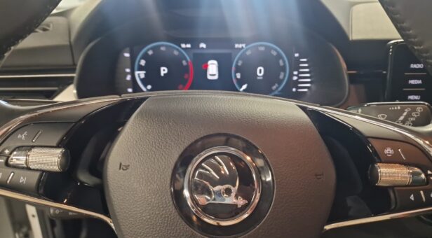 SKODA KAMIQ Ambition 1,5 TSI 110 kW (150 cv) DSG 7 vel.