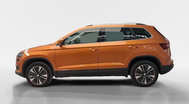 SKODA KAROQ TODOTERRENO 1.0 TSI 81KW AMBITION 110 5p