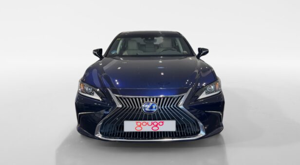 LEXUS LEXUS LEXUS ES300h