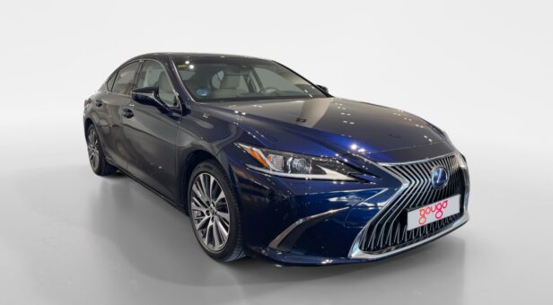 LEXUS LEXUS LEXUS ES300h