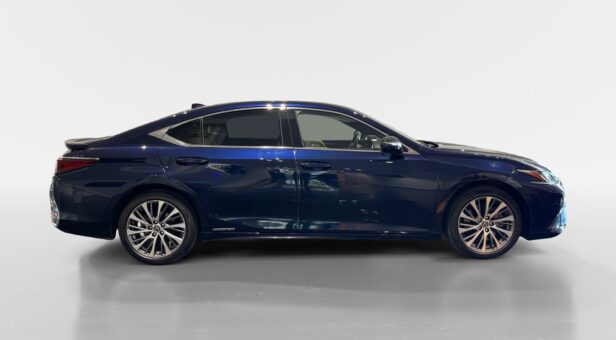 LEXUS LEXUS LEXUS ES300h