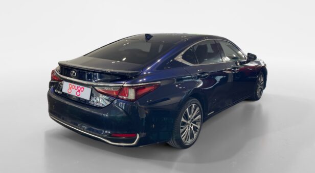 LEXUS LEXUS LEXUS ES300h