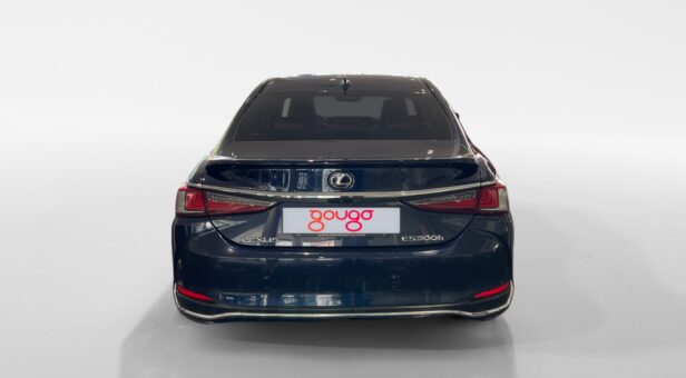 LEXUS LEXUS LEXUS ES300h