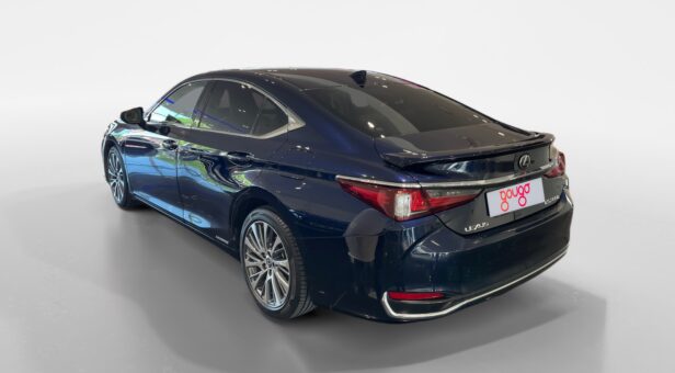 LEXUS LEXUS LEXUS ES300h