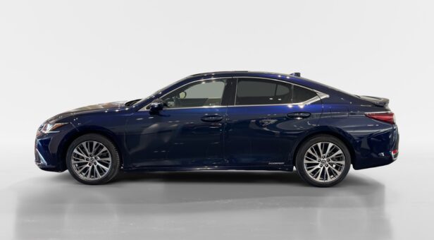 LEXUS LEXUS LEXUS ES300h