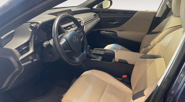 LEXUS LEXUS LEXUS ES300h