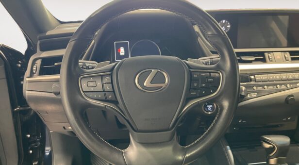 LEXUS LEXUS LEXUS ES300h
