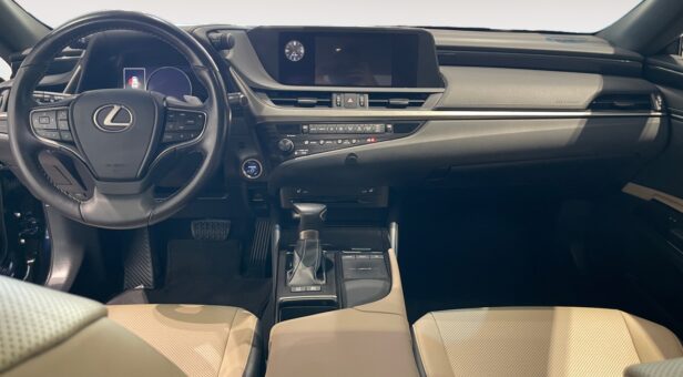 LEXUS LEXUS LEXUS ES300h