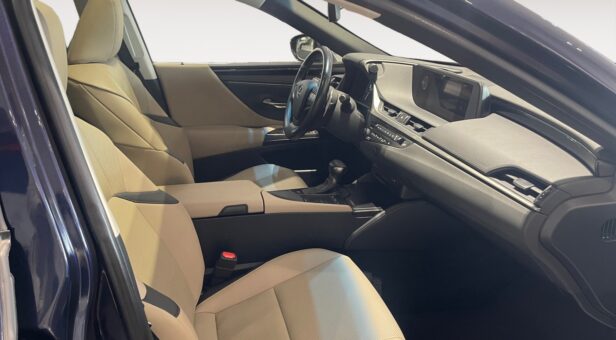 LEXUS LEXUS LEXUS ES300h