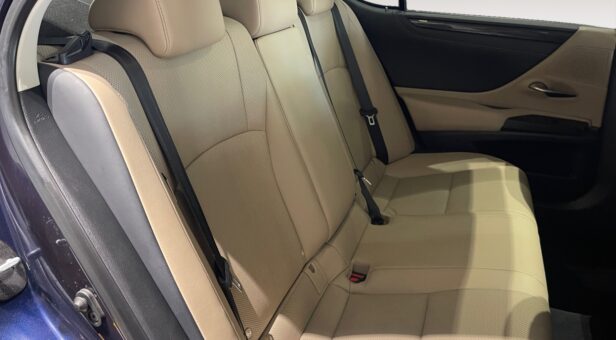 LEXUS LEXUS LEXUS ES300h