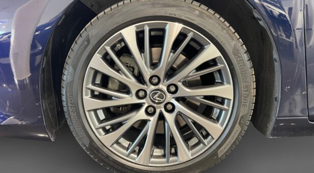 LEXUS LEXUS LEXUS ES300h