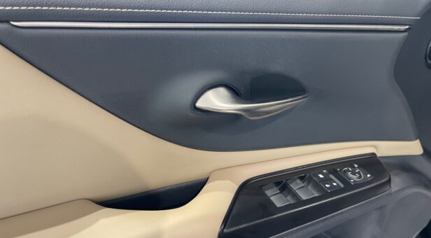 LEXUS LEXUS LEXUS ES300h